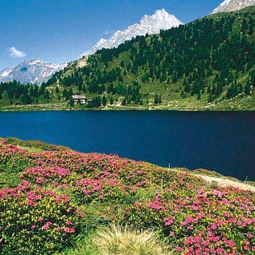 Obersee & Staller Sattel