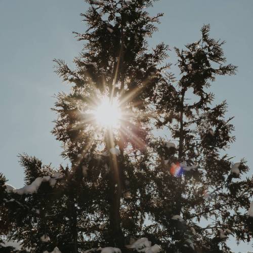 Wintersonne