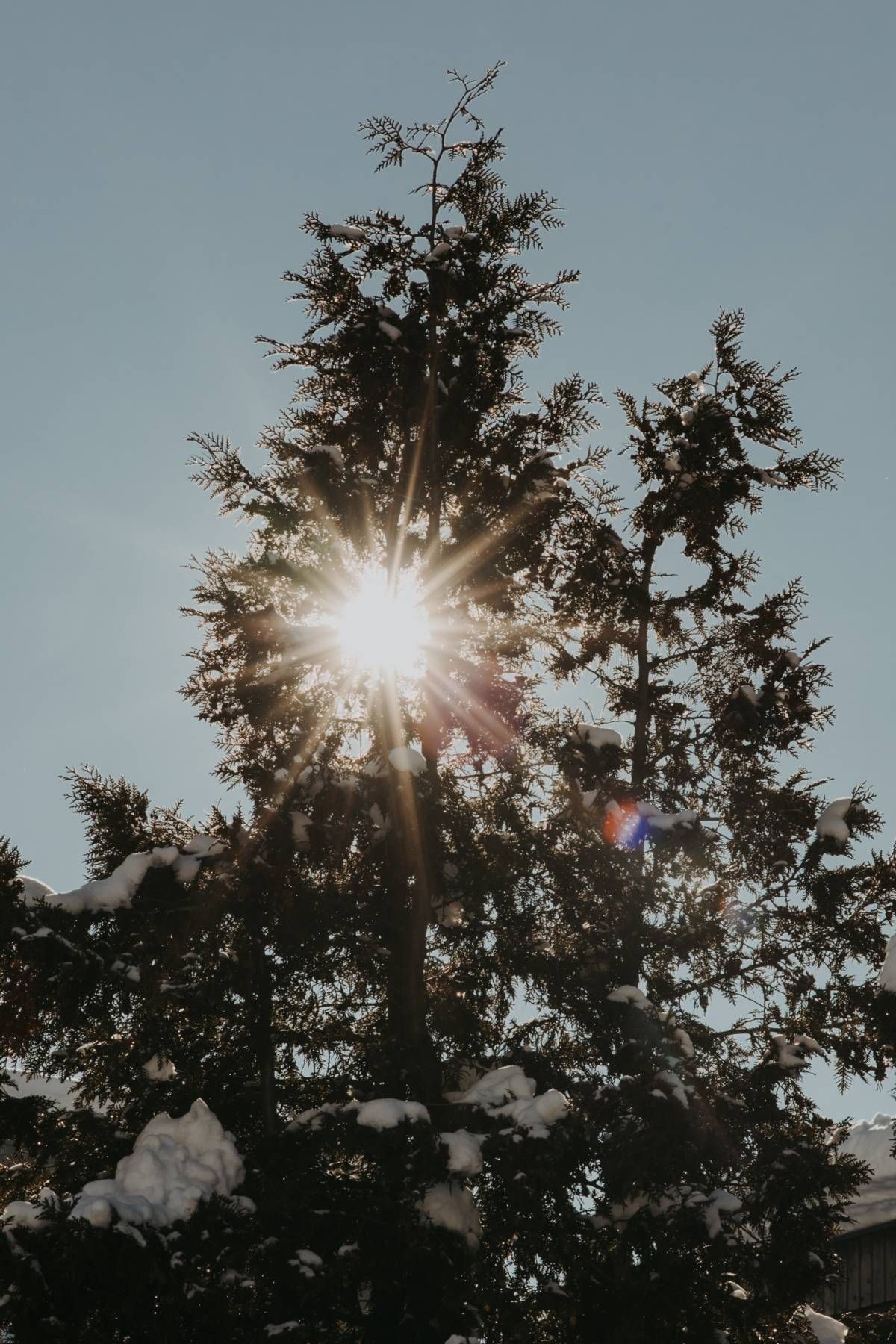 Wintersonne