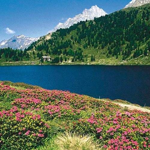 Obersee & Staller Sattel