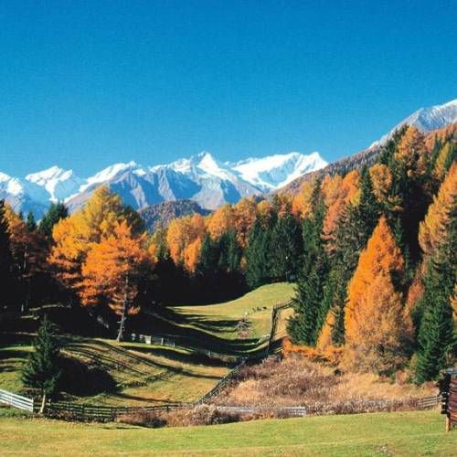 Zedlacher Paradies